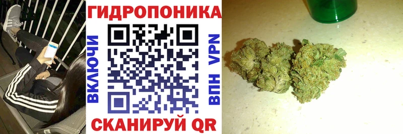 Виды наркоты Кедровый Амфетамин  Альфа ПВП  Бошки Шишки  Мефедрон  Кокаин 