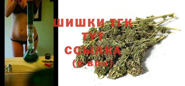 гидра Ельня