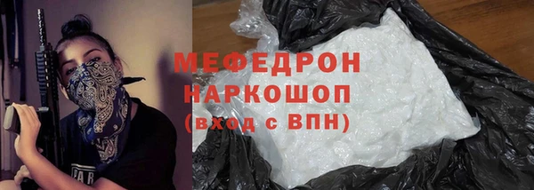 гидра Ельня