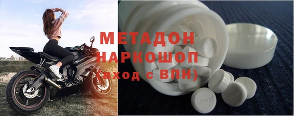 прущие грибы Заволжск