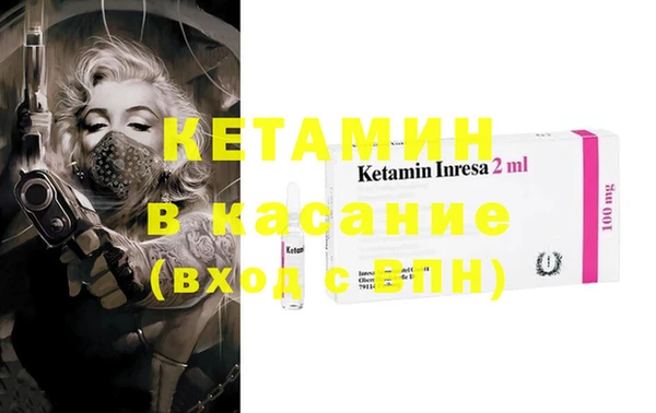 прущие грибы Заволжск