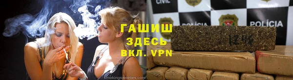 прущие грибы Заволжск