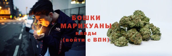 гидра Ельня