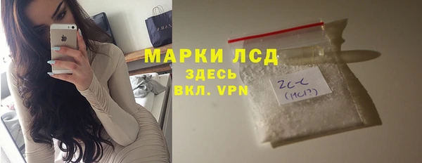 гидра Ельня