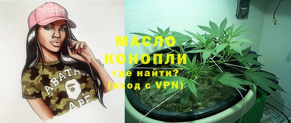 гидра Ельня