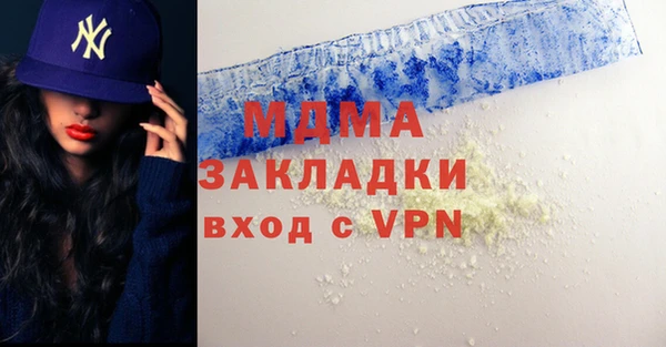 гидра Ельня