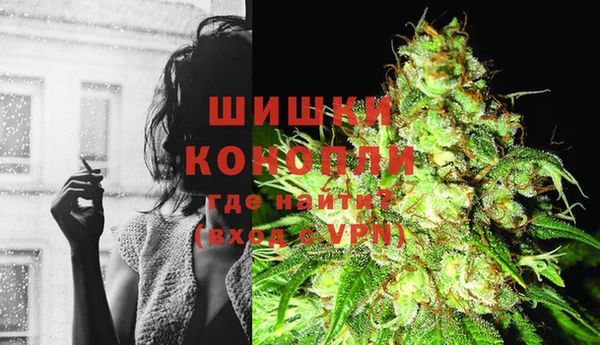 гидра Ельня