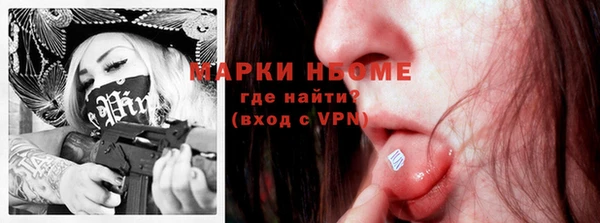 гидра Ельня