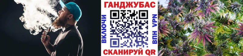 где можно купить наркотик  Кедровый  Бошки марихуана Amnesia 